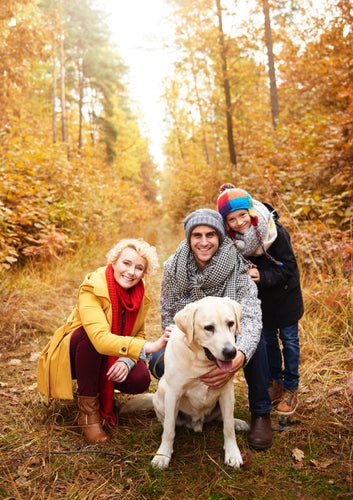 Fall Into Fun: Essential Tips for Your Furry Friends