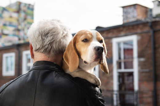 Tail-Wagging Happiness: How Pets Keep Seniors Active and Happy