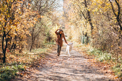 The Ultimate Guide to Preparing Your Pet for Changing Seasons