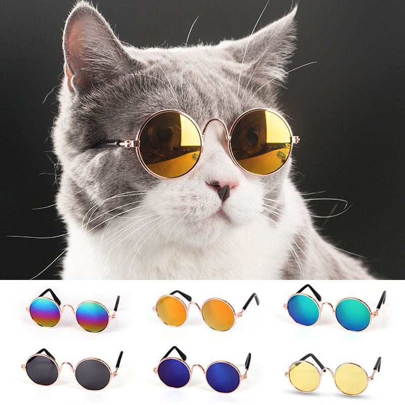 Cat Sunglasses - Retro Style Fun for Your Feline Friend!