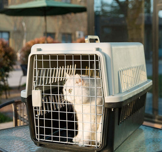 Pet Portable Travel Cage