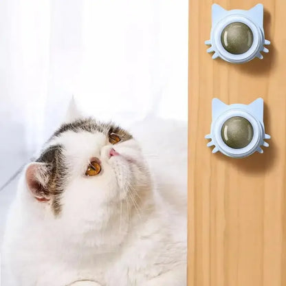 Catnip Balls are a funny and lickable snack for cats