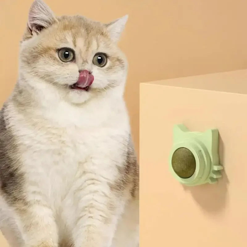 Catnip Balls are a funny and lickable snack for cats