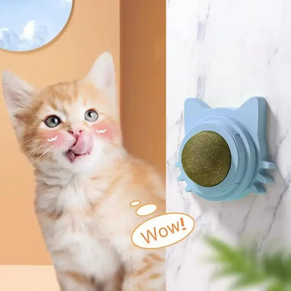 Catnip Balls are a funny and lickable snack for cats